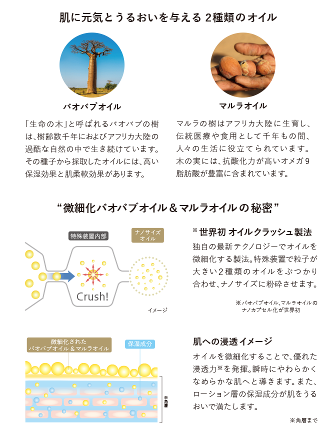 オイルクラッシュハイドレーター 微細化バオバブオイル＆マルラオイルの秘密　肌への浸透力　肌に元気とうるおいを与える