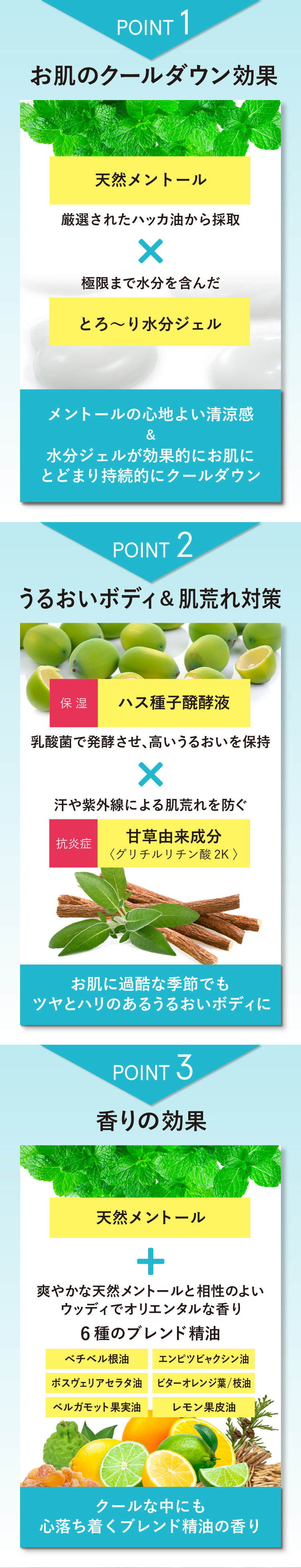 3つのポイント紹介